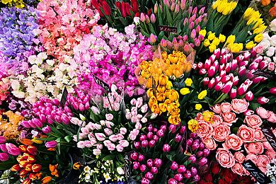 《量子误差》开发商打造《恐龙猎人》精神续作