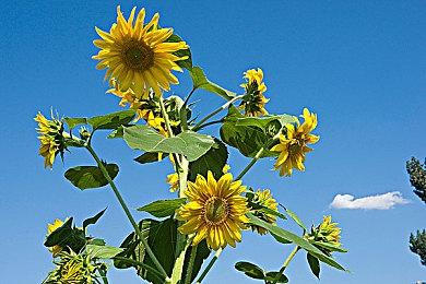 PS港服商城开启节日限定优惠 最低折扣至2折