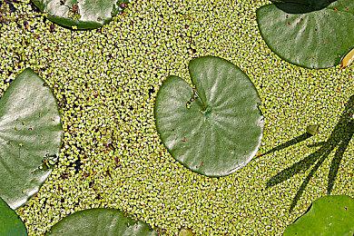 《Phantom Ten》登陆Steam 类8番出口房间历险